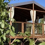 3 Etoiles - Ccaidff Campsite