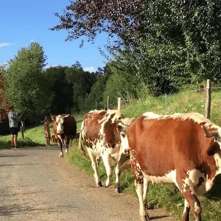 3 Etoiles - Ccaidff Кемпинг